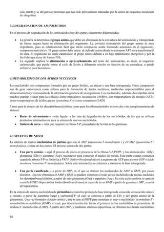 56
solo entran y se dirigen las proteínas que han sido previamente marcadas por la unión de pequeñas moléculas
de ubiquitina.
3.2.DEGRADACION DE AMINOÁCIDOS
En el proceso de degradación de los aminoácidos hay dos partes claramente diferenciadas:
• La primera la determina el grupo amino, que debe ser eliminado de la estructura del aminoácido y transportado
de forma segura hasta su eliminación del organismo. La correcta eliminación del grupo amino es muy
importante, pues es relativamente fácil que dicho compuesto acabe formando amoniaco en el organismo,
compuesto muy tóxico. El grupo amino debe entrar al ciclo de la urea donde se consume ATP para transformarlo
en urea. El organismo no suele catabolizar el grupo amino debido a su bajo rendimiento energético y por la
facilidad que tiene de formar NH3.
• La segunda implica la eliminación o aprovechamiento del resto del aminoácido, es decir, el esqueleto
carbonatado, que puede entrar al ciclo de Krebs a diferentes niveles en función de su naturaleza, o puede
utilizarse para biosíntesis
4.METABOLISMO DE LOS ÁCIDOS NUCLEICOS
Los nucleótidos son compuestos formados por un grupo fosfato, un azúcar y una base nitrogenada. Estos compuestos
son de gran importancia como sillares para la formación de ácidos nucleicos, moléculas imprescindibles para el
almacenamiento y transmisión de la información genética de un organismo. Los nucleótidos, además, desempeñan otros
muchos papeles vitales para las células: como mensajeros secundarios (AMPc), con trasportadores de energía (ATP),
como trasportadores de ácidos grasos (coenzima A) y como coenzimas (FAD)
Tanto para la síntesis de los desoxirribonucleótidos como para los ribonucleótidos existen dos vías complementarias de
síntesis:
• Rutas de salvamiento→ están ligadas a las vías de degradación de los nucleótidos, de las que se utilizan
productos intermediarios para la síntesis de nuevos nucleótidos.
• Síntesis de novo→ ruta que requiere la ribosa-5-P, procedente de la ruta de las pentosas.
4.1.SINTESIS DE NOVO
La síntesis de nuevos nucleótidos de purina, que son el AMP (adenosina-5-monofosfato ) y el GMP (guanosina-5´-
monofosfato), consta de dos partes. El proceso consta de dos partes:
• Una parte común→ aquí el proceso de inicia en presencia de la ribosa-5-P,PRPP, y los aminoácidos (Gly),
glutamina (Gln) y aspartato (Asp), necesarios para construir el núcleo de purina. Esta parte común comienza
cuando la ribosa-5-P se fosforila a PRPP (fosforribosilpirofosfato) a expensas de ATP para formar IMP o ácido
inosínico (ionosina-5’-monofosfato). Sobre este intermediario comienza a montarse la base nitrogenada.
• Una parte ramificada→ a partir de IMP, en el que se obtiene los nucleótidos de AMP o GMP, por pasos
distintos. Una vez obtenidos el AMP y GMP se pueden sintetizar el resto de los nucleótidos de purina, incluidos
los desoxirribonucleótidos, a partir de más glutamina (Gln) y aspartato (Asp). En este ciclo también se aprecia
como la HPRT (hipoxantina fosforribosiltransferasa) es capaz de crear GMP a partir de guanina e IMP, a partir
de hipoxantina.
En la síntesis de nuevos nucleótidos de pirimidina se sintetiza primero la base nitrogenada conocida como ácido orótico
u orotato, a partir de aspartato (Asp) y carbamoíl-P (el cual se sintetiza a partir de CO2 y del grupo amino de la
glutamina). Una vez formado el ácido orótico , éste se une al PRPP para sintetizar el nuevo nucleótido: la orotidina-5’-
monofosfato o orotidilato (OMP), el cual, por descarboxilación, forma el primero de los nucleótidos de pirimidina: la
uridina-5’-monofosfato (UMP). A partir del UMP, y mediante enzimas específicas, se obtienen los demás nucleótidos
 