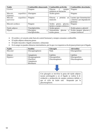 59
Tejido Combustible almacenado Combustible preferido Combustibles desechados
Cerebro Ninguno Glucosa y cuerpos
cetónicos en iniciación
Ninguno
Músculo esquelético
(reposos)
Glucógeno Ácidos grasos Ninguno
Músculo esquelético
(ejercicio)
Ninguno Glucosa y proteína en
inanición
Lactato (por fermentación)
y alanina (`por degradación
proteína)
Músculo cardiaco Ninguno Ácidos grasos, glucosa,
lactato y cuerpos cetónicos
Ninguno
Tejido adiposo Triacilglicéridos Ácidos grasos Ácidos grasos y glicerol
Hígado Glucógeno y
triacilglicéridos
Aminoácidos glucosa y
ácidos grasos
Ácidos graspos, glucosa y
cuerpos cetónicos
• El cerebro y el corazón están fuera de control hormonal y siempre consumen combustible.
• El tejido adiposo almacena grasas.
• El tejido muscular e hígado consumen y almacenan
• En la sangre no pueden obtenerse intermediarios, por lo que si se requieren se ha de pasar primero por el hígado.
Tejido Insulina Glucagón Adrenalina
Muscular Glucogenogénesis Nada Glucogenólisis
Adiposo Lipogénesis Lipólisis Lipólisis
Hepático Glcogenogénesis
Glucólisis
Lipogénesis
Biosíntesis
Glucogenólisis
Gluconeogénesis
Glucogenólisis
Gluconeogénesis
Con glucagón se moviliza la grasa del tejido adiposo
(ayuno prolongado) y en el hígado se realiza la β-
oxidación y producción de cuerpos cetónicos debido a
que el ciclo de krebs está bloqueado por la
gluconeogénesis.
 