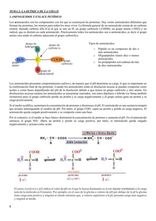 8
TEMA 2: LA QUÍMICA DE LA VIDA II
1.AMINOÁCIDOS Y ENLACE PETÍDICO
Los aminoácidos son los componentes con los que se construyen las proteínas. Hay veinte aminoácidos diferentes que
forman las proteínas, los mismos para todos los seres vivos. La fórmula general de un aminoácido consta de un carbono
central, llamado carbono alfa (Ca) al que se une un H, un grupo carboxilo (-COOH), un grupo amino (-NH2) y un
radical, que es distinto en cada aminoácido. Prácticamente todos los aminoácidos son α aminoácidos, es decir el grupo
amino esta unido al carbono adyacente al grupo carboxílico.
Los aminoácidos presentan comportamiento anfótero, de manera que el pH determina su carga, lo que es importante en
la conformación final de las proteínas. Cuando los aminoácidos están en disolución acuosa se pueden comportar como
ácidos o como bases dependiendo del pH de la disolución debido a que tienen un grupo carboxilo y otro amino. En
disoluciones acuosas neutras los aminoácidos se encuentran ionizados, son iones dipolares o hibrido (se llama también
zwitterion) pues el grupo carboxilo pierde un protón y se carga negativamente y el grupo amino gana un protón y se
carga positivamente.
Si el medio acidifica, aumentara la concentración de protones y disminuye el pH. El aminoácido es una sustancia tampón
que actuara amortiguando el cambio de pH. Por tanto, el grupo COO- capta un protón y pierde su carga negativa. El
aminoácido queda cargado positivamente y se comporta como una base.
Por el contrario, si el medio se hace básico disminuirá la concentración de protones y aumenta el pH. En el aminoácido
entonces el grupo NH3
+
libera un protón y pierde su carga positiva, por tanto, el aminoácido queda cargado
negativamente y actuara como acido.
El punto isoeléctrico (pI) indica el valor de pH en el que la fuerza dominante es el ion dipolar (zwitterion) y la carga
neta de la molécula es 0 (neutra). Por ejemplo, en el caso de la glicina a valores de pH por debajo de la pI la glicina
tiene carga neta positiva y migrará al cátodo mientras que, a valores superiores a la pI, presenta carga neta negativa
y migrará al ánodo.
Tipos de aminoácidos:
o Péptido es un compuesto de dos o
más aminoácidos.
o Oligopéptidos tienen diez o menos
aminoácidos.
o los polipéptidos son cadenas de más
de diez aminoácidos
 