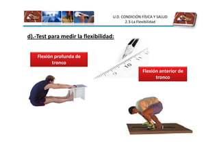 U.D. CONDICIÓN FÍSICA Y SALUD
                                          2.3-La Flexibilidad


d).-Test para medir la flexibilidad:


    Flexión profunda de
           tronco
                                                  Flexión anterior de
                                                        tronco
 