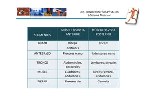 U.D. CONDICIÓN FÍSICA Y SALUD
                                 5-Sistema Muscular




            MÚSCULOS VISTA         MÚSCULOS VISTA
SEGMENTOS     ANTERIOR               POSTERIOR

  BRAZO         Bíceps,                  Tríceps
               deltoides
ANTEBRAZO    Flexores mano          Extensores mano

 TRONCO      Abdominales,          Lumbares, dorsales
              pectorales
 MUSLO        Cuadriceps,           Bíceps Femoral,
              adductores,             abductores
 PIERNA       Flexores pie              Gemelos
 