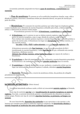 BIOLOXIA 4º ESO
                                                                              Tema 4. As Funcións da Célula
      A nutrición autótrofa comprende tres fases: o paso de membrana, o metabolismo e a
excreción.


       1. Paso de membrana. É o proceso no cal as moléculas inorgánicas sinxelas, auga, sales e
dióxido de carbono, atravesan a membrana celular por absorción directa, sen gasto de enerxía por
parte da célula.


       2. Metabolismo. É o conxunto de reaccións químicas que teñen lugar no citoplasma celular,
e cuxos resultados son a obtención de enerxía bioquímica utilizable pola célula, a fabricación pola
célula e a fabricación de materia celular propia.
               O metabolismo presenta tres fases: A fotosínteses, o anabolismo e o catabolismo.

      a) A fotosínteses, que é o proceso no que se elabora materia orgánica, como os azucres, a
         partir de materia inorgánica, como a auga, dióxido de carbono e sales minerais.
         Para realizar esta reacción química requírese a enerxía bioquímica que a clorofila produce a
         partir da enerxía solar. A fotosínteses ten lugar nos cloroplastos das células vexetais, e a
         súa reacción xeral é:
               luz solar + CO2 + H2O + sales minerais ----------> materia orgánica + O2
                                                      ---------->

          A fotosínteses presenta unha fase luminosa, na que a enerxía procedente do Sol é
          transformada en enerxía bioquímica, e unha fase escura, na que, utilizando esta enerxía
          bioquímica, obtéñense azucres.
          Ademais das células vexetais, certas bacterias e algas son capaces de realizar a
          fotosínteses.

      b) O anabolismo ou fase de construción, na que, utilizando a enerxía bioquímica procedente
         da fotosínteses e do catabolismo, sintetízanse grandes moléculas ricas en enerxía.

      c) O catabolismo ou fase de destrución, na que, mediante a respiración celular que ten
         lugar nas mitocondrias, a materia orgánica é oxidada, obténdose enerxía bioquímica.


      3.- Excreción. É a eliminación, a través da membrana celular, dos produtos de refugallo
procedentes do metabolismo.




NUTRICIÓN HETERÓTROFA. Célula Animal.

      A nutrición heterótrofa realízase cando a célula vai consumindo materia orgánica xa formada.

       Neste tipo de nutrición non hai, pois, transformación de materia inorgánica en materia
orgánica. Con todo, a nutrición heterótrofa permite a transformación dos alimentos en materia
celular propia. Posúen este tipo de nutrición algunhas bacterias, os protozoos, os fungos e os
animais.

.     Os seres heterótrofos, dependen dos autótrofos xa que aproveitan a súa enerxía e a da
materia que conteñen para fabricar moléculas orgánicas complexas. Os heterótrofos obteñen a
enerxía rompendo as moléculas dos seres autótrofos que comeron.
 