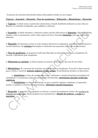 BIOLOXIA 4º ESO
                                                                                   Tema 4. As Funcións da Célula



. O proceso de nutrición heterótrofa dunha célula pódese dividir en sete etapas:

Captura
Captura – Inxestión – Dixestión - Paso de membrana – Defecación – Metabolismo – Excreción

1. Captura. A célula atrae as partículas alimenticias creando bulebules mediante as súas cilios ou
flaxelos, ou emitindo seudópodos, que engloban o alimento.


   Inxestión
2. Inxestión. A célula introduce o alimento nunha vacuola alimenticia ou fagosoma. Algunhas células
ciliadas, como os paramecios, teñen unha especie de boca, chamada citostoma, pola que fagocitan o
alimento.


3. Dixestión. Os lisosomas vertes as súas encimas dixestivas no fagosoma, que así se transformará en
vacuola dixestiva. Os encimas descompón os alimentos nas pequenas moléculas que as forman.


4. Paso de membrana. As pequenas moléculas liberadas na dixestión atravesan a membrana da
vacuola e difúndense polo citoplasma.


5. Defecación ou exestión. A célula expulsa ao exterior as moléculas que non lle son útiles.


6. Metabolismo. É o conxunto de reaccións que teñen lugar no citoplasma. O seu fin é obter enerxía
para a célula e construír materia orgánica celular propia. O metabolismo divídese en dúas fases:
                                           celular

       a. Anabolismo ou fase de construción na que, utilizando a enerxía bioquímica procedente do
catabolismo e as pequenas moléculas procedentes da dixestión, sintetízanse grandes moléculas
orgánicas.
          Catabolismo
       b. Catabolismo ou fase de destrución, na que a materia orgánica, mediante a respiración
celular, é oxidada no interior das mitocondrias, obténdose enerxía bioquímica.


7. Excreción. A excreción é a expulsión ao exterior, a través da membrana celular, dos produtos de
refugallo do catabolismo. Estes produtos son normalmente o dióxido de carbono , a auga e o
amoníaco.
 