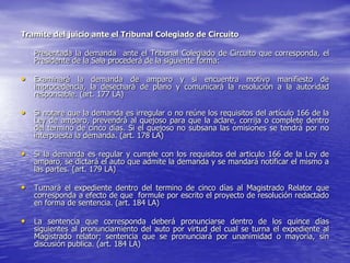 Tramite del juicio ante el Tribunal Colegiado de Circuito

   Presentada la demanda ante el Tribunal Colegiado de Circuito que corresponda, el
   Presidente de la Sala procederá de la siguiente forma:

• Examinará la demanda de amparo y si encuentra motivo manifiesto de
   improcedencia, la desechará de plano y comunicará la resolución a la autoridad
   responsable. (art. 177 LA)

• Si notare que la demanda es irregular o no reúne los requisitos del artículo 166 de la
   Ley de amparo, prevendrá al quejoso para que la aclare, corrija o complete dentro
   del termino de cinco días. Si el quejoso no subsana las omisiones se tendrá por no
   interpuesta la demanda. (art. 178 LA)

• Si la demanda es regular y cumple con los requisitos del articulo 166 de la Ley de
   amparo, se dictará el auto que admite la demanda y se mandará notificar el mismo a
   las partes. (art. 179 LA)

• Turnará el expediente dentro del termino de cinco días al Magistrado Relator que
   corresponda a efecto de que formule por escrito el proyecto de resolución redactado
   en forma de sentencia. (art. 184 LA)

• La sentencia que corresponda deberá pronunciarse dentro de los quince días
   siguientes al pronunciamiento del auto por virtud del cual se turna el expediente al
   Magistrado relator; sentencia que se pronunciará por unanimidad o mayoría, sin
   discusión publica. (art. 184 LA)
 