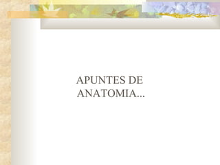 APUNTES DE
ANATOMIA...
 