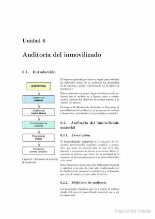 Apuntes de auditoria