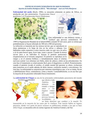 Pena Infectado Apuntes de microbiología | PDF