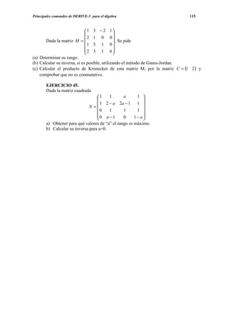 Principales comandos de DERIVE-5 para el álgebra                            115


                              1 3 − 2 1
                                              
                               2 1 0 0
       Dada la matriz M =                       . Se pide
                                1 5 1 0
                                              
                               2 3 1 6
                                              
(a) Determinar su rango.
(b) Calcular su inversa, si es posible, utilizando el método de Gauss-Jordan.
(c) Calcular el producto de Kronecker de esta matriz M, por la matriz C = (1 2 ) y
    comprobar que no es conmutativo.

       EJERCICIO 45.
       Dada la matriz cuadrada
                                  1    1       a      1 
                                                         
                                   1 2 − a 2a − 1 1 
                              N =
                                    0   1       1      1 
                                                         
                                  0 a −1       0     1− a
                                                         
       a) Obtener para qué valores de “a” el rango es máximo.
       b) Calcular su inversa para a=0.
 