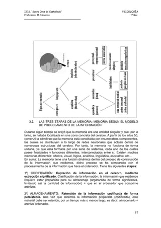 I.E.S. “Santa Cruz de Castañeda”                                          PSICOLOGÍA
Profesora: M. Navarro                                                          1º Bac.
_____________________________________




   3.2.    LAS TRES ETAPAS DE LA MEMORIA: MEMORIA SEGÚN EL MODELO
           DE PROCESAMIENTO DE LA INFORMACIÓN

Durante algún tiempo se creyó que la memoria era una entidad singular y que, por lo
tanto, se hallaba localizada en una zona concreta del cerebro. A partir de los años 50,
comenzó a admitirse que la memoria está constituida por innumerables componentes,
los cuales se distribuyen a lo largo de redes neuronales que actúan dentro de
numerosas estructuras del cerebro. Por tanto, la memoria no funciona de forma
unitaria, ya que está formada por una serie de sistemas, cada uno de los cuales
posee finalidades y funciones diferentes, interconectados entre sí. Existen muchas
memorias diferentes: olfativa, visual, lógica, analítica, lingüística, asociativa, etc…
En suma: La memoria tiene una función dinámica dentro del proceso de construcción
de la información que recibimos, dicho proceso se ha comparado con el
procesamiento de la información que hace el ordenador. Tiene las siguientes etapas:

1º) CODIFICACIÓN: Captación de información en el cerebro, mediante
extracción significado. Clasificación de la información: la información que recibimos
requiere estar preparada para su almacenaje (organizada de forma significativa,
limitando así la cantidad de información) = que en el ordenador que comprime
archivos.

2º) ALMACENAMIENTO: Retención de la información codificada de forma
persistente. Una vez que tenemos la información preparada (codificada), este
material debe ser retenido, por un tiempo más o menos largo, es decir; almacenarlo =
archivo ordenador.

                                                                                    57
 