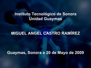 Instituto Tecnológico de Sonora Unidad Guaymas MIGUEL ANGEL CASTRO RAMÍREZ Guaymas, Sonora a 20 de Mayo de 2009 