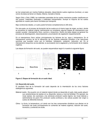 se han preservado por mantos freáticos elevados, desarrollando suelos orgánicos (tundras), un caso
común de éstos se tienen en Alaska, Siberia, Canadá e Irlanda.

Según Ortiz y Ortiz (1988), los materiales parentales de los suelos mexicanos pueden clasificarse en
dos grupos: materiales residuales y materiales transportados. Aunque la mayoría de los suelos
agrícolas en nuestro país fueron formados por transporte.

Bajo condiciones ideales, un suelo puede formarse completamente en 200 años.

Por otra parte, en el proceso de formación de los suelos en el mismo lugar de origen, es decir, donde
se encuentra el material original, teóricamente se consideran algunas etapas de intemperismo que
pueden suceder: intemperismo físico, químico y bioquímico. Dentro de éstas etapas se generan los
procesos de desintegración, descomposición y acumulación de vegetación respectivamente.

En el intemperismo físico actúan principalmente los factores de luz, agua y temperatura. En el
intemperismo químico se da la interacción de los factores anteriores sumados a las reacciones
químicas que suceden como son la hidrólisis, hidratación, oxidación, reducción, etc. En el
intemperismo bioquímico se da además, la acumulación de la vegetación y la formación de la materia
orgánica.

Las etapas de formación del suelo, se pueden esquematizar según lo muestra la siguiente figura:




Roca firme            Roca firme
                                         Roca firme


    1                     2                   3                      4                     5


Figura 2. Etapas de formación de un suelo ideal.


2.4. Desarrollo del suelo.
El resultado final de la formación del suelo depende de la interrelación de los cinco factores
edafogénicos siguientes:

Material madre.- De acuerdo con el material original donde se desarrolla el suelo, éste puede adquirir
         sus características de rapidez en su desarrollo, textura y nivel de fertilidad. Por ejemplo, las
         rocas ígneas, las cuarzosas y las areniscas producen suelos ligeros, las rocas básicas y
         sedimentarias de grano fino producen suelos arcillosos y las calizas pueden dar origen a
         suelos de diferentes texturas.

Clima.- La lluvia, la temperatura y el viento son los tres componentes climáticos que afectan en la
         formación del suelo principalmente en contenido de materia orgánica, reacción del suelo,
         lixiviación y contenido de arcilla.




Cisneros A. R. 2003                                                                            13
 