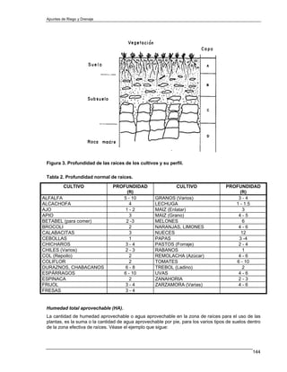 Apuntes de Riego y Drenaje




 Figura 3. Profundidad de las raíces de los cultivos y su perfil.

 Tabla 2. Profundidad normal de raíces.
          CULTIVO               PROFUNDIDAD                   CULTIVO                 PROFUNDIDAD
                                    (ft)                                                   (ft)
ALFALFA                            5 - 10           GRANOS (Varios)                       3-4
ALCACHOFA                            4              LECHUGA                              1 - 1.5
AJO                                 1-2             MAIZ (Enlatar)                          3
APIO                                  3             MAIZ (Grano)                          4-5
BETABEL (para comer)                2 -3            MELONES                                 6
BROCOLI                              2              NARANJAS, LIMONES                     4-6
CALABACITAS                          3              NUECES                                 12
CEBOLLAS                             1              PAPAS                                 3 -4
CHICHAROS                           3-4             PASTOS (Forraje)                      2-4
CHILES (Varios)                     2-3             RABANOS                                 1
COL (Repollo)                        2              REMOLACHA (Azúcar)                    4-6
COLIFLOR                             2              TOMATES                              6 - 10
DURAZNOS, CHABACANOS                6-8             TREBOL (Ladino)                         2
ESPÁRRAGOS                         6 - 10           UVAS                                  4-6
ESPINACA                              2             ZANAHORIA                             2-3
FRIJOL                              3-4             ZARZAMORA (Varias)                    4-6
FRESAS                              3-4


 Humedad total aprovechable (HA).
 La cantidad de humedad aprovechable o agua aprovechable en la zona de raíces para el uso de las
 plantas, es la suma o la cantidad de agua aprovechable por pie, para los varios tipos de suelos dentro
 de la zona efectiva de raíces. Véase el ejemplo que sigue:




                                                                                                   144
 