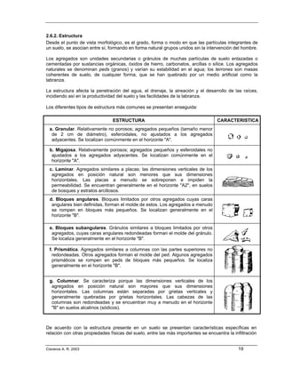 2.6.2. Estructura
Desde el punto de vista morfológico, es el grado, forma o modo en que las partículas integrantes de
un suelo, se asocian entre sí, formando en forma natural grupos unidos sin la intervención del hombre.

Los agregados son unidades secundarias o gránulos de muchas partículas de suelo enlazadas o
cementadas por sustancias orgánicas, óxidos de hierro, carbonatos, arcillas o sílice. Los agregados
naturales se denominan peds (granos) y varían su estabilidad en el agua; los terrones son masas
coherentes de suelo, de cualquier forma, que se han quebrado por un medio artificial como la
labranza.

La estructura afecta la penetración del agua, el drenaje, la aireación y el desarrollo de las raíces,
incidiendo así en la productividad del suelo y las facilidades de la labranza.

Los diferentes tipos de estructura más comunes se presentan enseguida:

                                ESTRUCTURA                                          CARACTERISTICA
 a. Granular. Relativamente no porosos; agregados pequeños (tamaño menor
  de 2 cm de diámetro), esferoidales, no ajustados a los agregados
  adyacentes. Se localizan comúnmente en el horizonte "A".

 b. Migajosa. Relativamente porosos; agregados pequeños y esferoidales no
  ajustados a los agregados adyacentes. Se localizan comúnmente en el
  horizonte "A".
 c. Laminar. Agregados similares a placas; las dimensiones verticales de los
  agregados en posición natural son menores que sus dimensiones
  horizontales. Las placas a menudo se sobreponen e impiden la
  permeabilidad. Se encuentran generalmente en el horizonte "A2", en suelos
  de bosques y estratos arcillosos.
 d. Bloques angulares. Bloques limitados por otros agregados cuyas caras
  angulares bien definidas, forman el molde de estos. Los agregados a menudo
  se rompen en bloques más pequeños. Se localizan generalmente en el
  horizonte "B".

 e. Bloques subangulares. Gránulos similares a bloques limitados por otros
  agregados, cuyas caras angulares redondeadas forman el molde del gránulo.
  Se localiza generalmente en el horizonte "B".

 f. Prismática. Agregados similares a columnas con las partes superiores no
  redondeadas. Otros agregados forman el molde del ped. Algunos agregados
  prismáticos se rompen en peds de bloques más pequeños. Se localiza
  generalmente en el horizonte "B".


 g. Columnar. Se caracteriza porque las dimensiones verticales de los
  agregados en posición natural son mayores que sus dimensiones
  horizontales. Las columnas están separadas por grietas verticales y
  generalmente quebradas por grietas horizontales. Las cabezas de las
  columnas son redondeadas y se encuentran muy a menudo en el horizonte
  "B" en suelos alcalinos (sódicos).



De acuerdo con la estructura presente en un suelo se presentan características específicas en
relación con otras propiedades físicas del suelo, entre las más importantes se encuentra la infiltración


Cisneros A. R. 2003                                                                           19
 