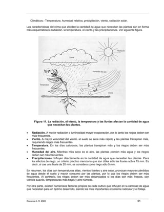 Climáticos.- Temperatura, humedad relativa, precipitación, viento, radiación solar.

Las características del clima que afectan la cantidad de agua que necesitan las plantas son en forma
más esquemática la radiación, la temperatura, el viento y las precipitaciones. Ver siguiente figura.




       Figura 11. La radiación, el viento, la temperatura y las lluvias afectan la cantidad de agua
                  que necesitan las plantas.

•    Radiación. A mayor radiación o luminosidad mayor evaporación, por lo tanto los riegos deben ser
     más frecuentes.
•    Viento. A mayor velocidad del viento, el suelo se seca más rápido y las plantas transpiran más,
     requiriendo riegos más frecuentes.
•    Temperatura. En los días calurosos, las plantas transpiran más y los riegos deben ser más
     frecuentes.
•    Humedad del aire. Mientras más seco es el aire, las plantas pierden más agua y los riegos
     deben ser más frecuentes.
•    Precipitaciones. Influyen directamente en la cantidad de agua que necesitan las plantas. Para
     los efectos de riego, un criterio práctico menciona que son útiles sólo las lluvias sobre 15 mm. Es
     decir, si cae una lluvia de 20 mm, se considera como riego sólo 5 mm.

En resumen, los días con temperaturas altas, vientos fuertes y aire seco, provocan mayores pérdidas
de agua desde el suelo y mayor consumo por las plantas, por lo que los riegos deben ser más
frecuentes. Al contrario, los riegos deben ser más distanciados si los días son más frescos, con
vientos suaves, temperaturas más bajas y aire húmedo.

Por otra parte, existen numerosos factores propios de cada cultivo que influyen en la cantidad de agua
que necesitan para un óptimo desarrollo, siendo los más importantes el sistema radicular y el follaje.



Cisneros A. R. 2003                                                                           51
 