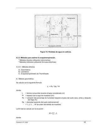 Figura 14. Pérdidas de agua en cultivos.


4.3.3. Métodos para estimar la evapotranspiración.
   * Métodos directos (utilizando instrumentos)
   * Métodos indirectos (utilizando fórmulas empíricas)

4.3.3.1. Métodos directos.
   A.- Gravimétrico
   B.- Lisimétrico
   C.- Evapotranspirómetro de Thornthwaite


A.- Método gravimétrico.

Se calcula con la siguiente fórmula:

                                           Li = Psi * Dai * Pr

donde:
         L   = lámina consumida durante el lapso considerado (m)
         Pr = espesor de la copa de muestreo (cm)
         Ps = variación del porcentaje de humedad respecto al peso del suelo seco, antes y después
                 del riego (%)
         Da = densidad aparente del suelo (adimensional)
           i = 1, 2, 3, .....Nº de orden del estrato de muestreo

La Et total se calcula con la ecuación:

                                             Et = ∑ i =1 Li
                                                     n



donde:

Cisneros A. R. 2003                                                                      53
 