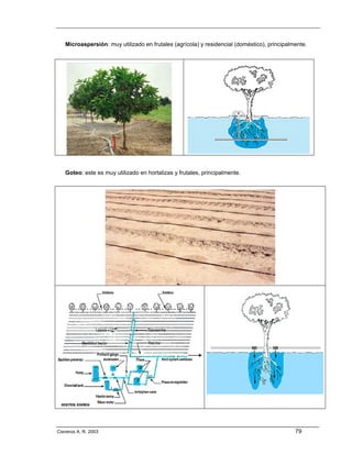Microaspersión: muy utilizado en frutales (agrícola) y residencial (doméstico), principalmente.




   Goteo: este es muy utilizado en hortalizas y frutales, principalmente.




Cisneros A. R. 2003                                                                          79
 