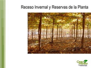 Receso Invernal y Reservas de la Planta  