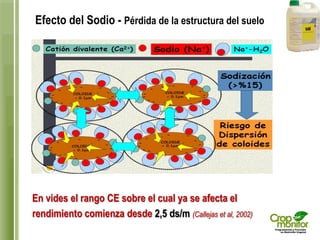 Efecto del Sodio - Pérdida de la estructura del suelo 
En vides el rango CE sobre el cual ya se afecta el 
rendimiento com...
