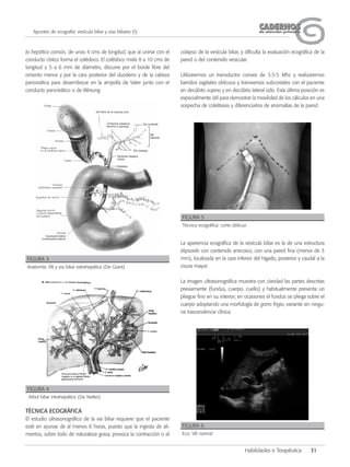 CADERNOSCADERNOSde atención primariade atención primaria
Habilidades e Terapéutica 31
Apuntes de ecografía: vesícula biliar y vías biliares (I)
to hepático común, de unos 4 cms de longitud, que al unirse con el
conducto cístico forma el colédoco. El colédoco mide 8 a 10 cms de
longitud y 5 a 6 mm de diámetro, discurre por el borde libre del
omento menor y por la cara posterior del duodeno y de la cabeza
pancreática para desembocar en la ampolla de Vater junto con el
conducto pancreático o de Wirsung.
TÉCNICA ECOGRÁFICA
El estudio ultrasonográfico de la via biliar requiere que el paciente
esté en ayunas de al menos 6 horas, puesto que la ingesta de ali-
mentos, sobre todo de naturaleza grasa, provoca la contracción o el
colapso de la vesícula biliar, y dificulta la evaluación ecográfica de la
pared o del contenido vesicular.
Utilizaremos un transductor convex de 3.5-5 Mhz y realizaremos
barridos sagitales oblicuos y transversos subcostales con el paciente
en decúbito supino y en decúbito lateral izdo. Esta última posición es
especialmente útil para demostrar la movilidad de los cálculos en una
sospecha de colelitiasis y diferenciarlos de anomalías de la pared.
La apariencia ecográfica de la vesícula biliar es la de una estructura
elipsoide con contenido anecoico, con una pared fina (menor de 3
mm), localizada en la cara inferior del hígado, posterior y caudal a la
cisura mayor.
La imagen ultrasonográfica muestra con claridad las partes descritas
previamente (fundus, cuerpo, cuello) y habitualmente presenta un
pliegue fino en su interior; en ocasiones el fundus se pliega sobre el
cuerpo adoptando una morfología de gorro frigio, variante sin ningu-
na trascendencia clínica.
FIGURA 3
Anatomía: VB y via biliar extrahepática (De Grant)
FIGURA 4
Arbol biliar intrahepático (De Netter)
FIGURA 5
Técnica ecográfica: corte oblicuo
FIGURA 6
Eco: VB normal
 