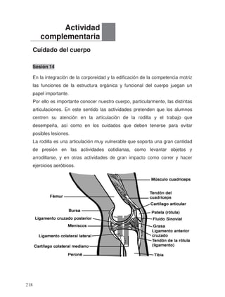 Cuidado del cuerpo
Sesión 14
En la integración de la corporeidad y la edificación de la competencia motriz
las funciones de la estructura orgánica y funcional del cuerpo juegan un
papel importante.
Por ello es importante conocer nuestro cuerpo, particularmente, las distintas
articulaciones. En este sentido las actividades pretenden que los alumnos
centren su atención en la articulación de la rodilla y el trabajo que
desempeña, así como en los cuidados que deben tenerse para evitar
posibles lesiones.
La rodilla es una articulación muy vulnerable que soporta una gran cantidad
de presión en las actividades cotidianas, como levantar objetos y
arrodillarse, y en otras actividades de gran impacto como correr y hacer
ejercicios aeróbicos.
Actividad
complementaria
218
 
