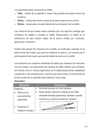 Las siguientes partes componen la rodilla:
• Tibia. - Hueso de la espinilla o hueso más grande de la parte inferior de
la pierna.
• Fémur. - Hueso del muslo o hueso de la parte superior de la pierna.
• Rótula. - Hueso plano situado delante de la articulación de la rodilla.
Los extremos de los huesos están cubiertos por una capa de cartílago que
amortigua los golpes y protege la rodilla. Básicamente, la rodilla es la
confluencia de dos huesos largos de la pierna unidos por músculos,
ligamentos y tendones.
Existen dos grupos de músculos en la rodilla: el cuadriceps (ubicado en la
parte frontal del muslo), que permite enderezar la pierna, y el músculo de la
parte posterior del muslo, que permite doblar la pierna en la rodilla.
Los tendones son cordones resistentes de tejido que conectan los músculos
con los huesos. Los ligamentos son bandas de tejido elástico que conectan
los huesos entre sí. Ciertos ligamentos de la rodilla proporcionan estabilidad
y protección a las articulaciones, mientras que otros limitan el movimiento de
la tibia (hueso de la espinilla) hacia delante y hacia atrás.
Actividad 1
Dibujando Descripción
Objetivos:
• Reforzar los
conocimientos
adquiridos.
• Fomentar el
trabajo en equipo.
• Se divide al grupo en cinco equipos.
• Cada equipo realizará un dibujo de la rodilla
utilizando distintas posiciones, ejemplo: cuando
caminamos, corremos saltamos, etcétera.
219
 