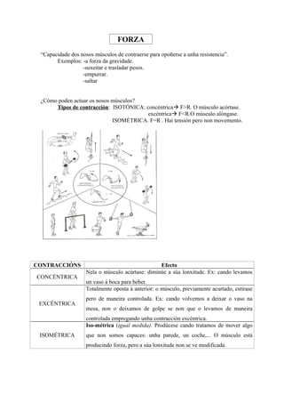 FORZA
 “Capacidade dos nosos músculos de contraerse para opoñerse a unha resistencia”.
       Exemplos: -a forza da gravidade.
                  -suxeitar e trasladar pesos.
                  -empurrar.
                  -saltar


 ¿Cómo poden actuar os nosos músculos?
      Tipos de contracción: ISOTÓNICA: concéntrica F>R. O músculo acórtase.
                                        excéntrica F<R.O músculo alóngase.
                             ISOMÉTRICA. F=R . Hai tensión pero non movemento.




CONTRACCIÓNS                                      Efecto
                    Nela o músculo acúrtase: diminúe a súa lonxitude. Ex: cando levamos
CONCÉNTRICA
                    un vaso á boca para beber.
                    Totalmente oposta á anterior: o músculo, previamente acurtado, estírase
                    pero de maneira controlada. Ex: cando volvemos a deixar o vaso na
 EXCÉNTRICA
                    mesa, non o deixamos de golpe se non que o levamos de maneira
                    controlada empregando unha contracción excéntrica.
                    Iso-métrica (igual medida). Prodúcese cando tratamos de mover algo
 ISOMÉTRICA         que non somos capaces: unha parede, un coche,... O músculo está
                    producindo forza, pero a súa lonxitude non se ve modificada.
 