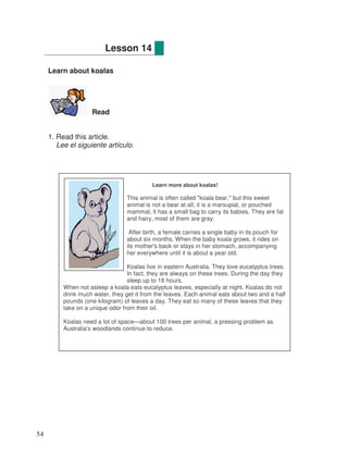 Learn about koalas
Read
1. Read this article.
Lee el siguiente artículo.
Lesson 14
Learn more about koalas!
This animal is often called "koala bear," but this sweet
animal is not a bear at all; it is a marsupial, or pouched
mammal, it has a small bag to carry its babies. They are fat
and hairy, most of them are gray.
After birth, a female carries a single baby in its pouch for
about six months. When the baby koala grows, it rides on
its mother's back or stays in her stomach, accompanying
her everywhere until it is about a year old.
Koalas live in eastern Australia. They love eucalyptus trees.
In fact, they are always on these trees. During the day they
sleep up to 18 hours.
When not asleep a koala eats eucalyptus leaves, especially at night. Koalas do not
drink much water, they get it from the leaves. Each animal eats about two and a half
pounds (one kilogram) of leaves a day. They eat so many of these leaves that they
take on a unique odor from their oil.
Koalas need a lot of space—about 100 trees per animal, a pressing problem as
Australia's woodlands continue to reduce.
54
 