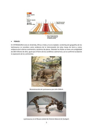 5
 FOSILES:
El LYSTROSAURUS vivía en Antártida, África e India y no era nadador, la distribución geográfica de los
lystrosaurus se considera como evidencia de la interconexión de estas masas de tierra y como
evidencia de la deriva continental y tectónica de placas. Datando los fósiles se tiene una antigüedad
de 200 millones de años, igual que el hierro de las cordilleras submarinas y así se confirmó la edad de
la separación de los continentes
Reconstrucción de Lystrosaurus por John Sibbick.
Lystrosaurus en el Museo estatal de Historia Natural de Stuttgart.
 