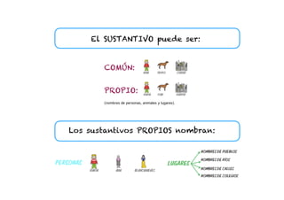 El SUSTANTIVO puede ser:
COMÚN:
PROPIO:
(nombres de personas, animales y lugares).
Los sustantivos PROPIOS nombran:
 