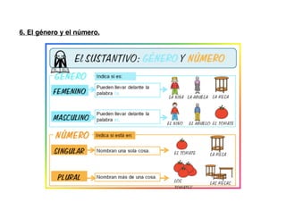 6. El género y el número.
 