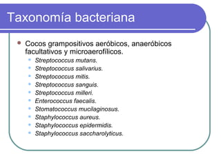 Taxonomía bacteriana
 Cocos grampositivos aeróbicos, anaeróbicos
facultativos y microaerofílicos.
 Streptococcus mutans.
 Streptococcus salivarius.
 Streptococcus mitis.
 Streptococcus sanguis.
 Streptococcus milleri.
 Enterococcus faecalis.
 Stomatococcus mucilaginosus.
 Staphylococcus aureus.
 Staphylococcus epidermidis.
 Staphylococcus saccharolyticus.
 