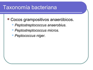 Taxonomía bacteriana
Cocos grampositivos anaeróbicos.
Peptostreptococcus anaerobius.
Peptostreptococcus micros.
Peptococcus niger.
 