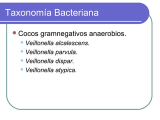 Taxonomía Bacteriana
Cocos gramnegativos anaerobios.
Veillonella alcalescens.
Veillonella parvula.
Veillonella dispar.
Veillonella atypica.
 