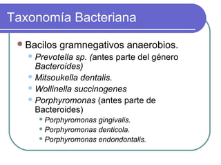 Taxonomía Bacteriana
Bacilos gramnegativos anaerobios.
Prevotella sp. (antes parte del género
Bacteroides)
Mitsoukella dentalis.
Wollinella succinogenes
Porphyromonas (antes parte de
Bacteroides)
 Porphyromonas gingivalis.
 Porphyromonas denticola.
 Porphyromonas endondontalis.
 