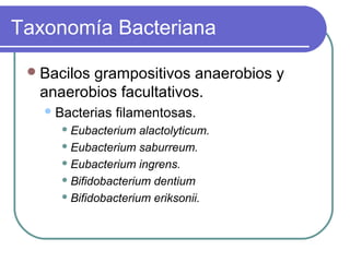 Taxonomía Bacteriana
Bacilos grampositivos anaerobios y
anaerobios facultativos.
Bacterias filamentosas.
 Eubacterium alactolyticum.
 Eubacterium saburreum.
 Eubacterium ingrens.
 Bifidobacterium dentium
 Bifidobacterium eriksonii.
 
