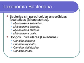 Taxonomía Bacteriana.
 Bacterias sin pared celular anaeróbicas
facultativas (Micoplasmas).
 Mycoplasma salivarium.
 Mycoplasma buccale.
 Mycoplasma faucium.
 Mycoplasma orale.
 Hongos unicelulares (Levaduras)
 Candida albicans.
 Candida tropicalis.
 Candida stellatoidea.
 Candida krusei.
 