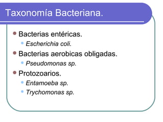 Taxonomía Bacteriana.
Bacterias entéricas.
Escherichia coli.
Bacterias aerobicas obligadas.
Pseudomonas sp.
Protozoarios.
Entamoeba sp.
Trychomonas sp.
 