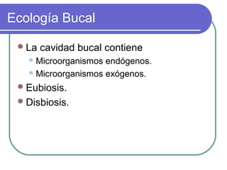 Ecología Bucal
La cavidad bucal contiene
Microorganismos endógenos.
Microorganismos exógenos.
Eubiosis.
Disbiosis.
 