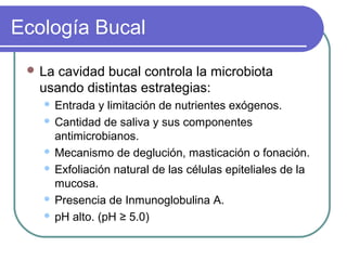 Ecología Bucal
 La cavidad bucal controla la microbiota
usando distintas estrategias:
 Entrada y limitación de nutrientes exógenos.
 Cantidad de saliva y sus componentes
antimicrobianos.
 Mecanismo de deglución, masticación o fonación.
 Exfoliación natural de las células epiteliales de la
mucosa.
 Presencia de Inmunoglobulina A.
 pH alto. (pH ≥ 5.0)
 