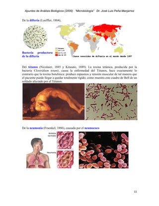 Apuntes de Análisis Biológicos (2009) “Microbiología” Dr. José Luis Peña Manjarrez


De la difteria (Loeffler, 1884),




Bacteria productora
de la difteria


Del tétanos (Nicolaier, 1885 y Kitasato, 1889). La toxina tetánica, producida por la
bacteria Clostridium tetanii, causa la enfermedad del Tétanos, hace exactamente lo
contrario que la toxina botulínica: produce espasmos y tensión muscular de tal manera que
el paciente puede llegar a quedar totalmente rígido, como muestra este cuadro de Bell de un
soldado afectado por el Tétanos.




De la neumonía (Fraenkel, 1886), causada por el neumococo




                                                                                        11 
 
 