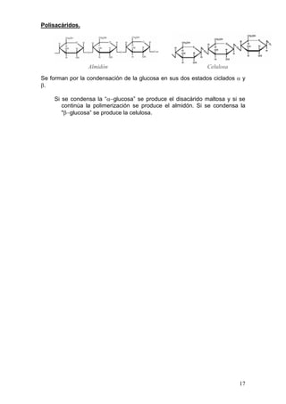 Polisacáridos.




                 Almidón                                     Celulosa

Se forman por la condensación de la glucosa en sus dos estados ciclados α y
β.

    Si se condensa la “α−glucosa” se produce el disacárido maltosa y si se
       continúa la polimerización se produce el almidón. Si se condensa la
       "β−glucosa” se produce la celulosa.




                                                                        17
 