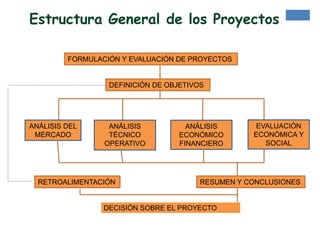 Estructura General de los Proyectos
FORMULACIÓN Y EVALUACIÓN DE PROYECTOS
DEFINICIÓN DE OBJETIVOS
ANÁLISIS DEL
MERCADO
ANÁLISIS
TÉCNICO
OPERATIVO
ANÁLISIS
ECONÓMICO
FINANCIERO
EVALUACIÓN
ECONÓMICA Y
SOCIAL
RETROALIMENTACIÓN RESUMEN Y CONCLUSIONES
DECISIÓN SOBRE EL PROYECTO
 