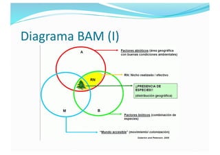 Diagrama BAM (I)
 