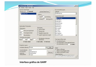 Interface gráfica de GARP
 