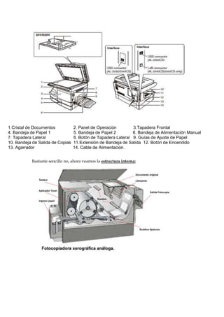 1.Cristal de Documentos
4. Bandeja de Papel 1
7. Tapadera Lateral
10. Bandeja de Salida de Copias
13. Agarrador

2. Panel de Operación
3.Tapadera Frontal
5. Bandeja de Papel 2
6. Bandeja de Alimentación Manual
8. Botón de Tapadera Lateral 9. Guías de Ajuste de Papel
11.Extensión de Bandeja de Salida 12. Botón de Encendido
14. Cable de Alimentación.

Bastante sencillo no, ahora veamos la estructura interna:

 