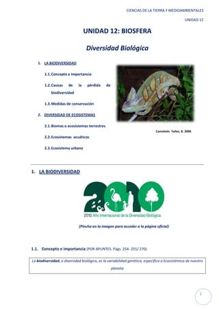 CIENCIAS DE LA TIERRA Y MEDIOAMBIENTALES

                                                                                                UNIDAD 12

                                  UNIDAD 12: BIOSFERA

                                  Diversidad Biológica
   1. LA BIODIVERSIDAD

       1.1. Concepto e importancia

       1.2. Causas    de     la    pérdida    de
            biodiversidad

       1.3. Medidas de conservación

   2. DIVERSIDAD DE ECOSISTEMAS

       2.1. Biomas o ecosistemas terrestres
                                                                             Camaleón. Yañez, B. 2006
       2.2. Ecosistemas acuáticos

       2.3. Ecosistema urbano




1. LA BIODIVERSIDAD




                             (Pincha en la imagen para acceder a la página oficial)




1.1. Concepto e importancia (POR APUNTES. Págs. 254- 255/ 270)

La biodiversidad, o diversidad biológica, es la variabilidad genética, específica o Ecosistémica de nuestro
                                                   planeta




                                                                                                         1
 