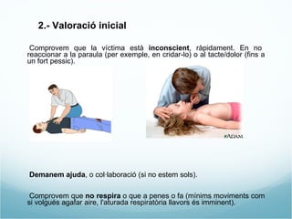 2.- Valoració inicial   - Comprovem que la víctima està  inconscient , ràpidament. En no reaccionar a la paraula (per exemple, en cridar-lo) o al tacte/dolor (fins a un fort pessic). - Demanem ajuda , o col·laboració (si no estem sols). - Comprovem que  no respira  o que a penes o fa (mínims moviments com si volgués agafar aire, l'aturada respiratòria llavors és imminent). * Si respira col.locar en posició lateral de seguretat . 