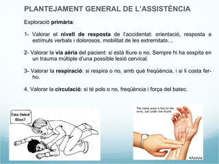 PLANTEJAMENT GENERAL DE L’ASSISTÈNCIA Exploració  primària : 1- Valorar el  nivell de resposta  de l’accidentat: orientació, resposta a estímuls verbals i dolorosos, mobilitat de les extremitats… 2- Valorar la  vía aèria  del pacient: si està lliure o no. Sempre hi ha sospita en un trauma múltiple d’una possible lesió cervical. 3- Valorar la  respiració : si respira o no, amb què freqüència, i si li costa fer-ho. 4. Valorar la  circulació : si té pols o no, freqüència i força del  batec. 