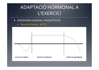 ADAPTACIÓ	
  HORMONAL	
  A	
  
            L’EXERCICI	
  
  SÍNDROME	
  GENERAL	
  D’ADAPTACIÓ	
  
    Teoria	
  de	
  l’estrès.	
  	
  SELYE	
  
 