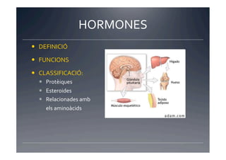 HORMONES	
  
  DEFINICIÓ	
  

  FUNCIONS	
  

  CLASSIFICACIÓ:	
  
     Protèiques	
  
     Esteroides	
  
     Relacionades	
  amb	
  
   	
  	
  	
  	
  	
  	
  els	
  aminoàcids	
  
 